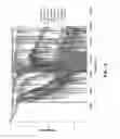 Fig. 12 - System and method for measuring separation rate of water from water-in-crude oil emulsions