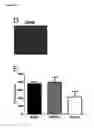Fig. 03 - In vitro method for assessing cytokine storm responses