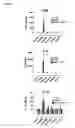 Fig. 08 - In vitro method for assessing cytokine storm responses