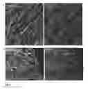 Fig. 02 - Fluorescent dyes with phosphorylated hydroxymethyl groups and their use in light microscopy and imaging techniques
