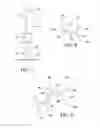Fig. 06 - Method and device for immunoassay using nucleotide conjugates