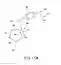 Fig. 13 - Method and device for immunoassay using nucleotide conjugates