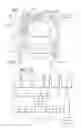Fig. 19 - Method and device for immunoassay using nucleotide conjugates
