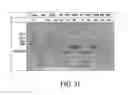 Fig. 25 - Method and device for immunoassay using nucleotide conjugates