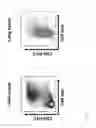 Fig. 03 - Depletion of mouse cells for isolation of human cells