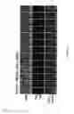 Fig. 07 - METHODS TO OBTAIN A NOVEL CLASS OF GRAM NEGATIVE BACTERIA ANTIBIOTICS WHICH TARGET AN UNKNOWN CELL DIVISION ASSOCIATED PROTEIN LOP1