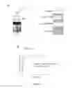 Fig. 16 - METHODS TO OBTAIN A NOVEL CLASS OF GRAM NEGATIVE BACTERIA ANTIBIOTICS WHICH TARGET AN UNKNOWN CELL DIVISION ASSOCIATED PROTEIN LOP1