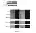 Fig. 20 - METHODS TO OBTAIN A NOVEL CLASS OF GRAM NEGATIVE BACTERIA ANTIBIOTICS WHICH TARGET AN UNKNOWN CELL DIVISION ASSOCIATED PROTEIN LOP1