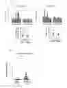 Fig. 04 - METHOD FOR DETECTING COLON CANCER