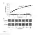Fig. 05 - COMPOSITIONS AND METHODS FOR DETECTION OF A TARGET IN A MOLECULAR ASSAY USING PH CHANGES
