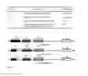Fig. 09 - COMPOSITIONS AND METHODS FOR DETECTION OF A TARGET IN A MOLECULAR ASSAY USING PH CHANGES