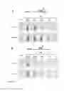 Fig. 15 - COMPOSITIONS AND METHODS FOR DETECTION OF A TARGET IN A MOLECULAR ASSAY USING PH CHANGES