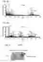 Fig. 08 - Combined DESI and optical imaging analysis of tissues