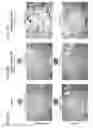 Fig. 09 - Combined DESI and optical imaging analysis of tissues