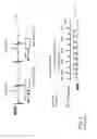 Fig. 03 - Variable TR (vTR) function in fresh blood imaging (FBI)