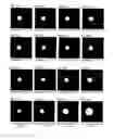 Fig. 15 - Light diffusion film and light diffusion film manufacturing method