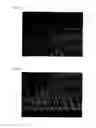 Fig. 19 - Light diffusion film and light diffusion film manufacturing method