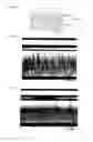 Fig. 20 - Light diffusion film and light diffusion film manufacturing method