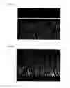 Fig. 29 - Light diffusion film and light diffusion film manufacturing method