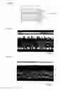 Fig. 36 - Light diffusion film and light diffusion film manufacturing method