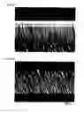 Fig. 37 - Light diffusion film and light diffusion film manufacturing method