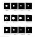 Fig. 44 - Light diffusion film and light diffusion film manufacturing method