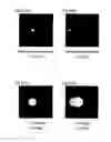 Fig. 51 - Light diffusion film and light diffusion film manufacturing method