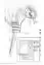 Fig. 10 - Wavelength division multiplexing of uncooled lasers with wavelength-common dispersive element