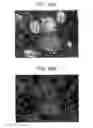 Fig. 37 - Sample observation device and sample observation method