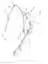 Fig. 15 - Interchangeable eyewear/head-mounted device assembly with quick release mechanism