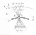 Fig. 05 - Light-field immersive display and operation method thereof