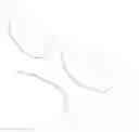Fig. 01 - Wavy structure of spectacle frame