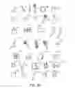 Fig. 16 - Deformable photoelastic device