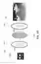 Fig. 22 - Deformable photoelastic device