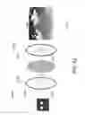 Fig. 24 - Deformable photoelastic device