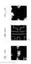 Fig. 22 - Photomasks, methods of fabricating the photomasks, and method of fabricating semiconductor devices by using the photomasks