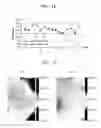 Fig. 23 - Photomasks, methods of fabricating the photomasks, and method of fabricating semiconductor devices by using the photomasks
