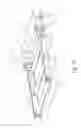 Fig. 11 - Image forming apparatus