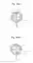 Fig. 13 - Image forming apparatus