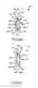 Fig. 24 - Hinge overtravel in a dual screen handheld communication device