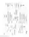 Fig. 10 - Image capture modes for dual screen mode