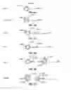 Fig. 08 - Changing the screen stack upon desktop reveal