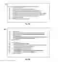 Fig. 06 - Deployment of web client plugins in a virtualized computing environment