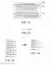 Fig. 06 - Compiler optimizations for vector instructions