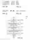 Fig. 08 - Compiler optimizations for vector instructions
