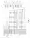 Fig. 07 - Spatial data processing