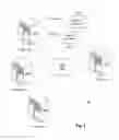 Fig. 04 - Relationship-based WAN caching for object stores