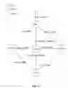 Fig. 13 - SYSTEMS AND METHODS FOR GENETIC ANALYSIS