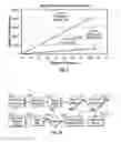 Fig. 03 - SYSTEMS AND METHODS FOR GENOMIC VARIANT ANNOTATION