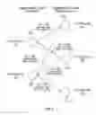 Fig. 07 - Dynamic graph anomaly detection framework and scalable system architecture